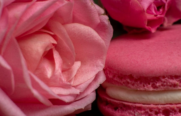 Macaron sweet dessert and pink rose Closeup Macro Pink macaron Food sweet background