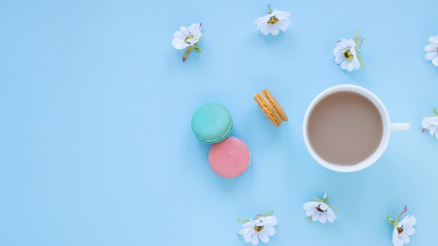 Macarons and  daisies