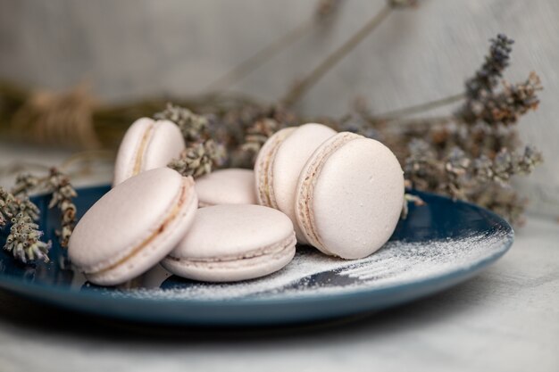 Foto macarons op blauw bord met poedersuiker