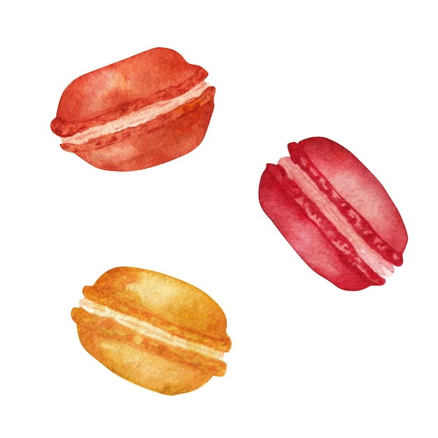 Macaroon watercolor element on a white background