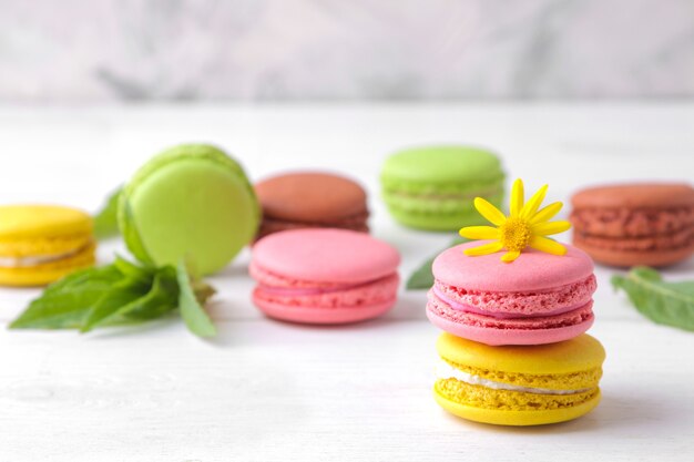 Macaroons. delicious colored French macaroon pastries with a yellow flower on a white wooden table