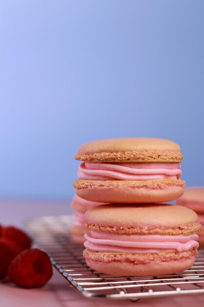 macaroons with raspberry buttercream on baking rack, blue background with copy space