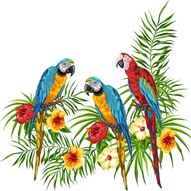 Macaw Birds Group