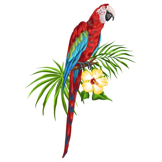 Macaw Birds Group