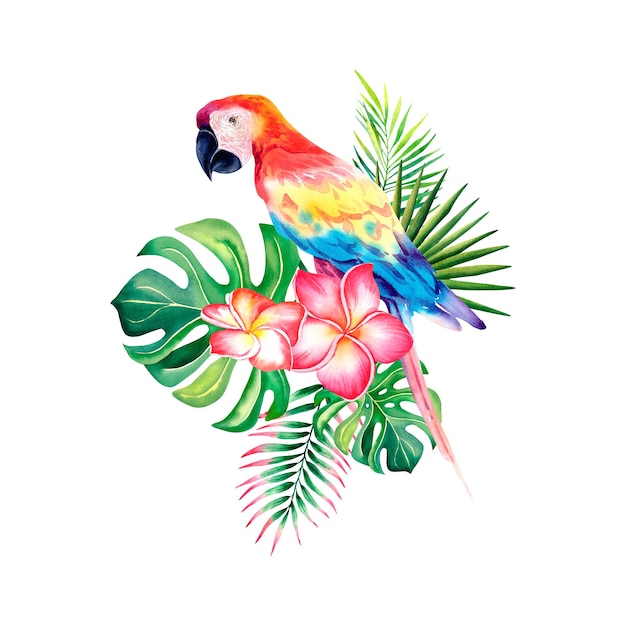 Macaw parrot in the tropical jungle Monstera Palm branch Plumeria Tropical composition watercolor illustration on an isolated background