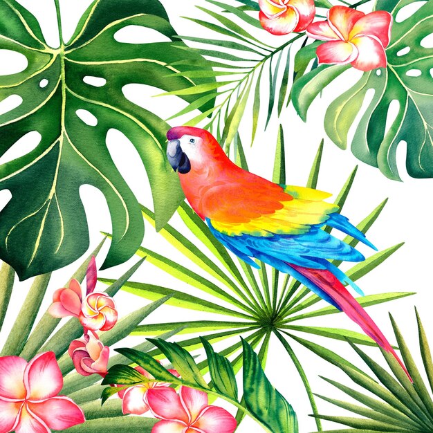열대 정글의 마코 앵무새 몬스테라 팜 브랜치 플루메리아 열대 컴포지션 수채화 그림은 고립된 배경에 있습니다.