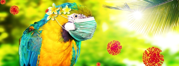 Macaw parrot with medical mask on vacation