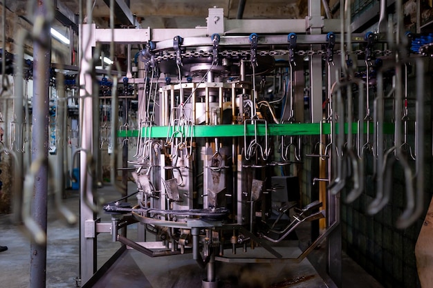 緑のパイプと「その文字」が書かれた緑の線が付いた工場の機械