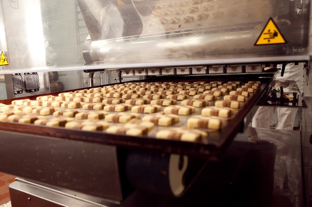 Machine voor het maken van koekjes in de fabriek
