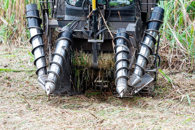 Machine voor het oogsten van suikerriet op een plantage