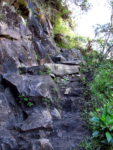 Machu Picchu-ruïnes van Inca-rijk in het Andesgebergte Peru Zuid-Amerika