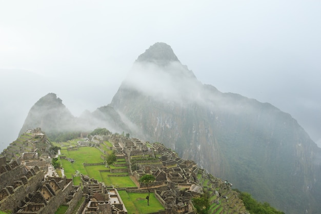 Machu Picchu