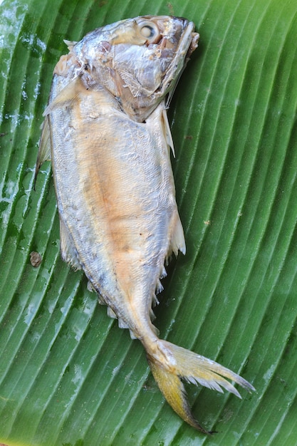  mackerel on banana leaf