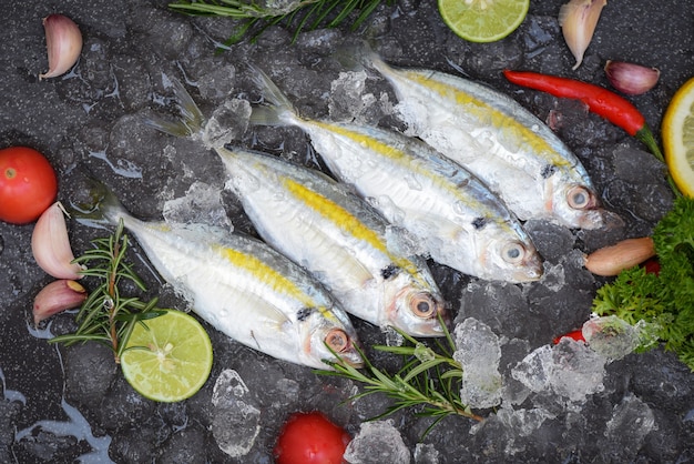 Mackerel fish on ice for cooking food in the restaurant, Fresh fish raw Yellow-stripe scad