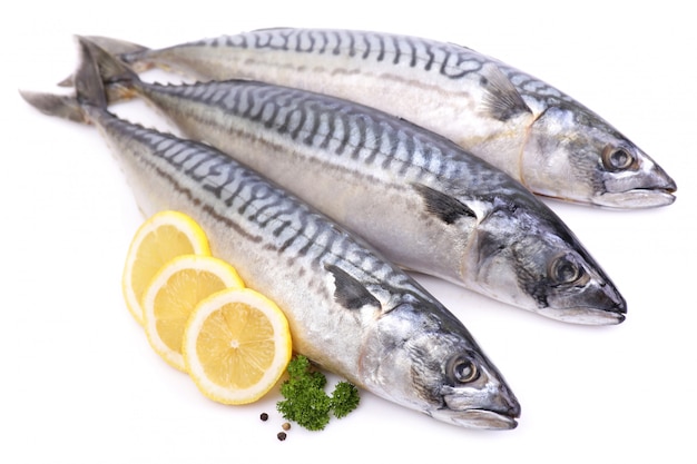 Mackerel fish isolated on white