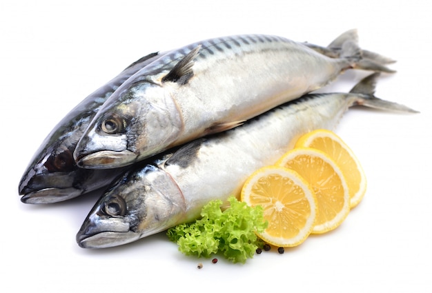 Photo mackerel fish isolated