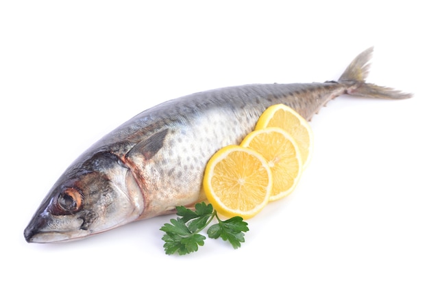 Mackerel isolated on white background