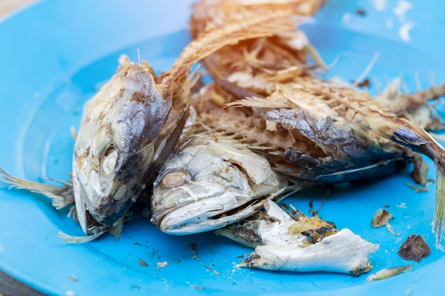 Photo mackerel on the plate