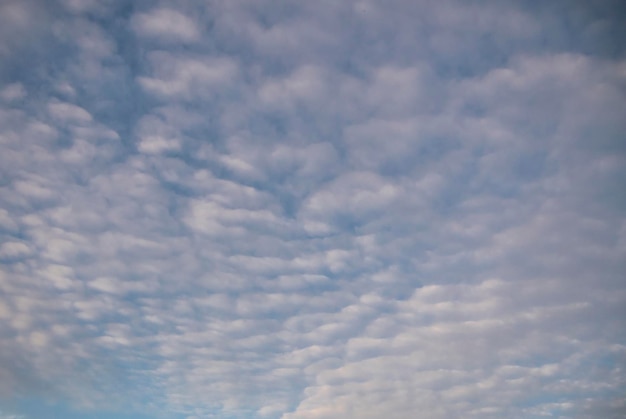 サバの空