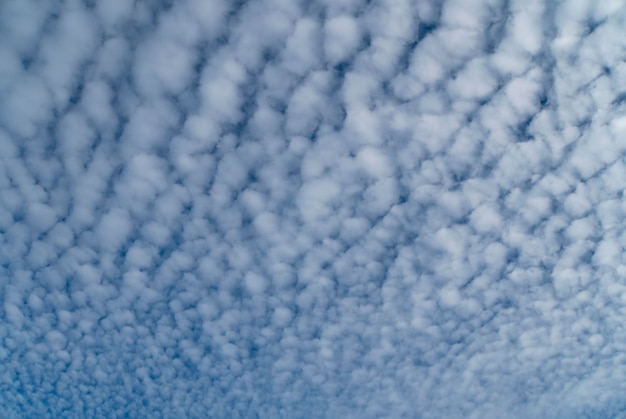 Mackerel Sky