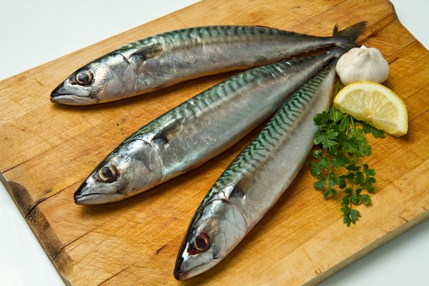 mackerel