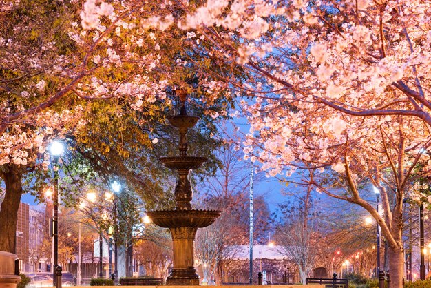 Macon Georgia USA downtown square in spring