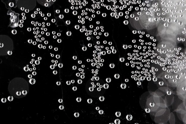 Photo macro air bubbles in water