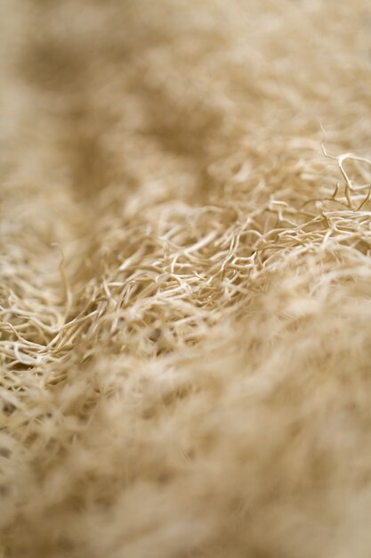 Macro background of natural sponge that looks like roots.