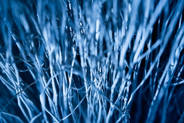 Macro background of natural sponge that looks like roots