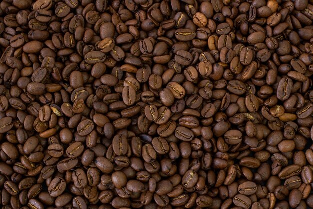 매크로 커피 콩 배경 사진 커피 콩 커피 콩 벽지를 닫습니다