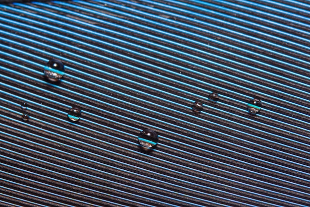 Macro drops of water on the feathers