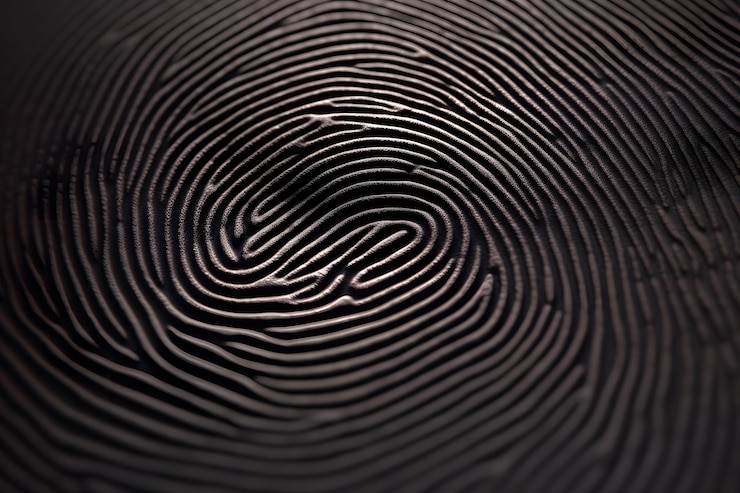 Photo macro fingerprint details ultra zoom investigation