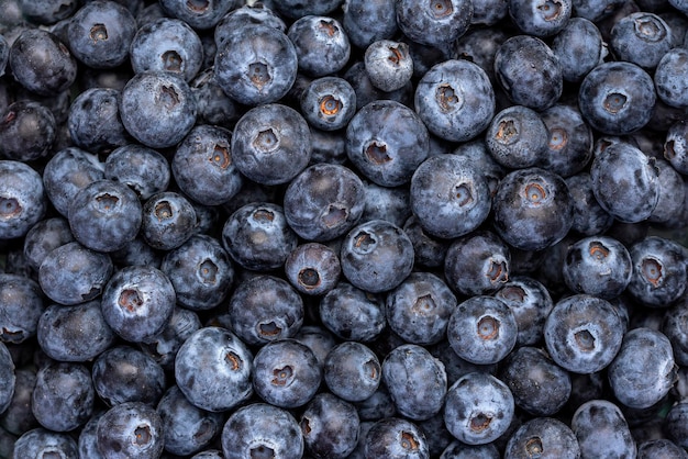 Macro foodfotografie van bosbessen