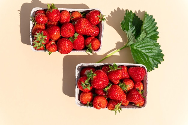 Macro of Fresh strawberries