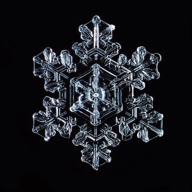 Photo macro of frozen snowflake