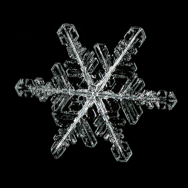 Macro of frozen snowflake