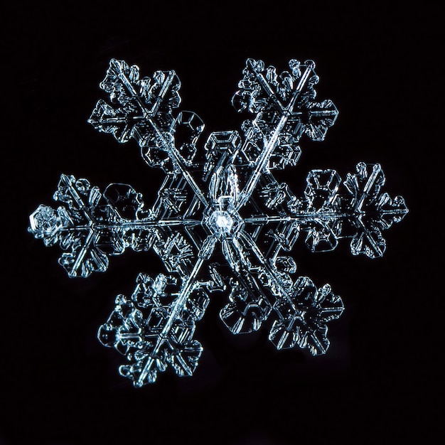 Macro of frozen snowflake