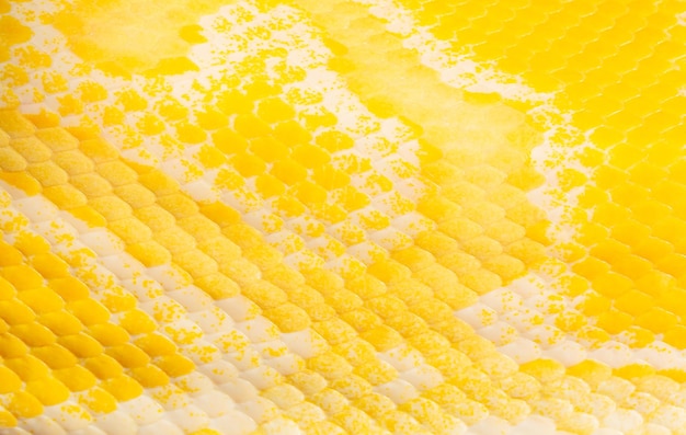 macro gele slang schaal textuur, close-up weergave van gouden python Python bivittatus huidtextuur, Sca
