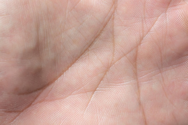 Macro human handmacro image of the surface texture of the human\
palmclose up skin texture with