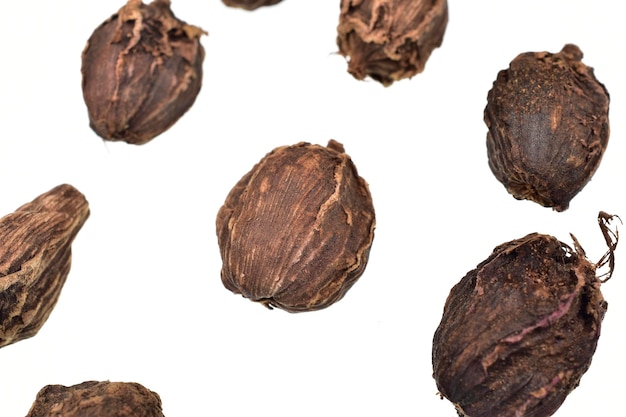 Macro image of black cardamom isolated on white background