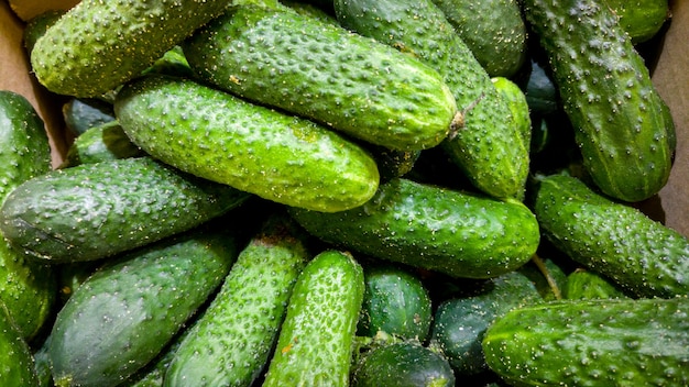 Immagine macro di un sacco di cetrioli verdi sul bancone al supermercato. trama del primo piano o motivo di verdure fresche mature