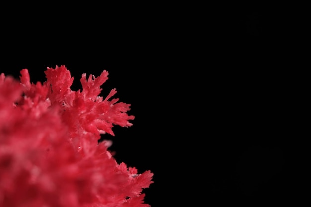 Macro image red salt crystal on black background