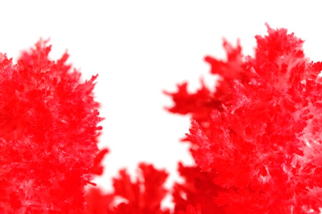 Macro image red salt crystal on white background