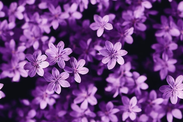 Macro image of spring lilac violet flowers abstract soft floral background Seamless pattern