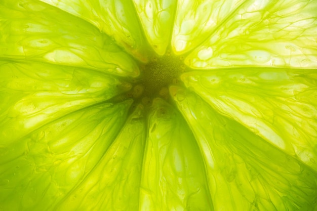 Macro lemon textureMacro close up surface texture Juicy slice of lime