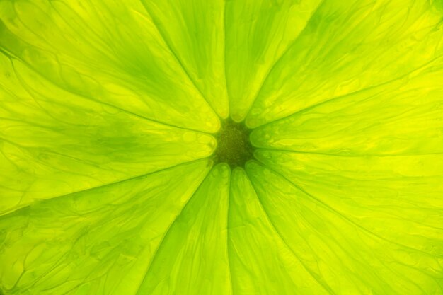 macro lemon textureMacro close up surface texture Juicy slice of lime