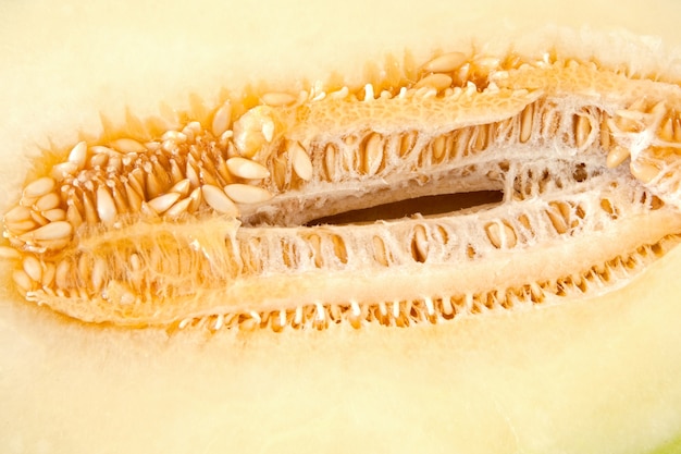 Macro of a melon with orange seeds