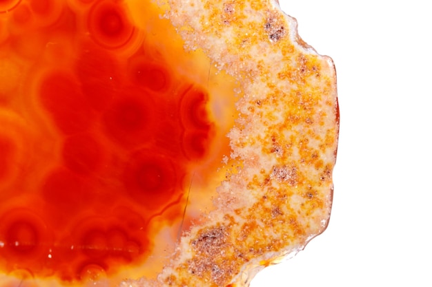 白い背景の上の結晶のマクロ ミネラル オレンジ瑪瑙をクローズ アップ