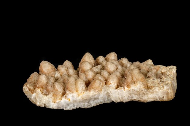 Macro mineral quartz stone of two genirats on a black background