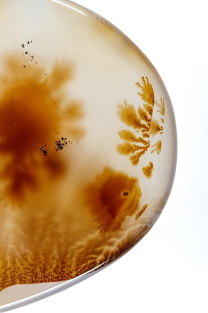 Macro mineral stone Agata muschiata on a white background closeup